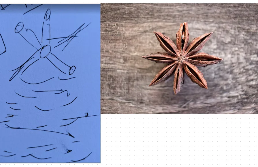 Star Anise Session Evidence